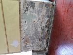     
: 20180319_082203.jpg
: 24
:	148.3 
ID:	12625746