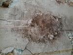     
: 20180319_082141.jpg
: 25
:	142.7 
ID:	12625749