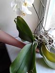     
: 20180329_184520.jpg
: 25
:	72.5 
ID:	12629366