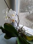     
: 20180329_184540.jpg
: 24
:	86.4 
ID:	12629367