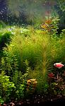    
: IMG_20180329_205638[1].jpg
: 10
:	152.0 
ID:	12629446