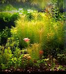     
: IMG_20180329_210736[1].jpg
: 10
:	201.3 
ID:	12629449