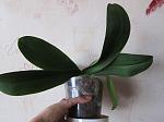     
: IMG_0040.JPG
: 8
:	118.8 
ID:	12630848