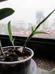     
: IMG_0041.JPG
: 14
:	118.0 
ID:	12630859