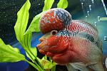     
: IMG_7596.jpg
: 10
:	138.1 
ID:	12631107