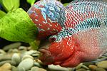     
: IMG_7653.jpg
: 8
:	149.8 
ID:	12631108