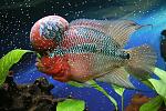     
: IMG_7616.jpg
: 10
:	162.2 
ID:	12631109