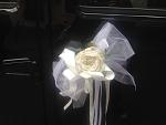     
: image_3(1).jpg
: 11
:	115.7 
ID:	12631329