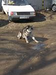     
: IMG_20180331_103727.jpg
: 17
:	109.4 
ID:	12631399