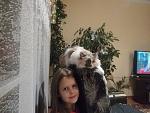     
: IMG_20161231_215914.jpg
: 13
:	148.1 
ID:	12632510
