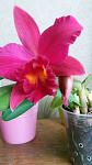     
: 20180401_093617.jpg
: 25
:	67.7 
ID:	12632598