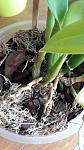    
: 20180401_093707.jpg
: 18
:	108.3 
ID:	12632600