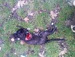     
: IMG00029.jpg
: 8
:	282.5 
ID:	12634039