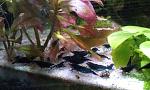     
: IMAG8056.jpg
: 12
:	112.0 
ID:	12635604