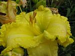     
: IMG_9400.jpg
: 24
:	98.2 
ID:	12636145