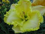    
: IMG_8360.jpg
: 22
:	87.2 
ID:	12636171