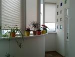     
: 0-02-04-58edc5051d55df60443ca3db959a935db3b8bcde9e60e58d4a0a69117dd49850_full.jpg
: 9
:	103.4 
ID:	12636730