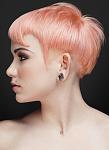     
: colorsample-4-2.jpg
: 18
:	63.5 
ID:	12642357