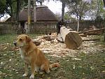     
: PA235556.JPG
: 15
:	146.6 
ID:	12642800