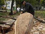     
: PA235538.JPG
: 12
:	187.3 
ID:	12642801
