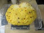     
: !IMG_6535.jpg
: 475
:	131.9 
ID:	12644345