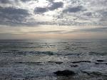     
: 20180406_085431.jpg
: 22
:	148.1 
ID:	12644415