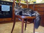     
: !IMG_6527.jpg
: 37
:	158.4 
ID:	12646729