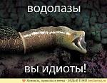     
: ISHdA_HYddc.jpg
: 0
:	60.3 
ID:	12647496