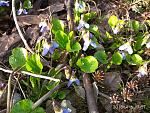     
: IMG_20180406_175750.jpg
: 10
:	158.3 
ID:	12648124