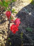     
: IMG_20180408_172803.jpg
: 10
:	189.9 
ID:	12648127