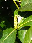     
: IMG_20180407_101705.jpg
: 11
:	182.2 
ID:	12648128
