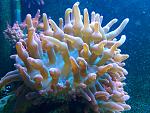     
: 20180415_105958.jpg
: 60
:	149.9 
ID:	12657548