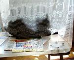     
: june2-2010.jpg
: 42
:	56.2 
ID:	1265798