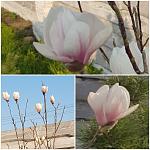     
: 20180415_222641.jpg
: 8
:	110.5 
ID:	12657985
