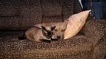     
: IMG_20180223_175108.jpg
: 8
:	225.4 
ID:	12659188