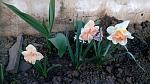     
: IMG_20180414_190942.jpg
: 11
:	167.6 
ID:	12660586