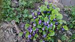     
: IMG_20180414_191218.jpg
: 10
:	198.5 
ID:	12660587