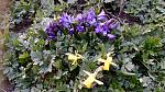     
: IMG_20180414_190853.jpg
: 10
:	193.6 
ID:	12660588