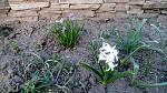     
: IMG_20180414_190912.jpg
: 10
:	237.5 
ID:	12660592