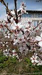     
: IMG_20180414_132412.jpg
: 12
:	113.8 
ID:	12660596