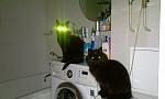     
: IMAG0381.jpg
: 20
:	87.8 
ID:	12662292