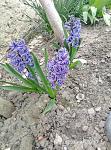     
: P80416-174902.jpg
: 13
:	176.2 
ID:	12663290