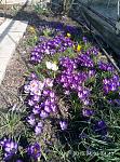     
: P80403-144301.jpg
: 12
:	215.6 
ID:	12663292