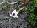    
: IMG_20180419_201253.jpg
: 13
:	215.8 
ID:	12664533