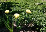     
: IMG_20180419_201137.jpg
: 13
:	304.5 
ID:	12664535