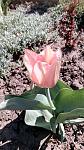     
: IMG_20180419_101331.jpg
: 13
:	125.1 
ID:	12664536