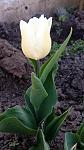     
: IMG_20180419_101548.jpg
: 15
:	72.7 
ID:	12664537