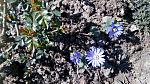     
: IMG_20180419_101026.jpg
: 13
:	283.3 
ID:	12664538