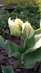     
: IMG_20180419_101557.jpg
: 14
:	90.5 
ID:	12664539