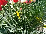     
: P80421-104547.jpg
: 15
:	231.6 
ID:	12667370